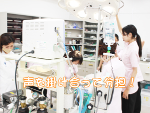 動物看護科の歯石除去手術！